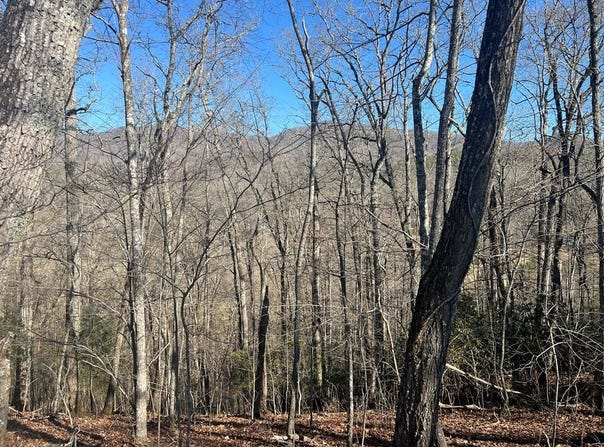 Reserve Rd lot: 36, Franklin, NC 28734
