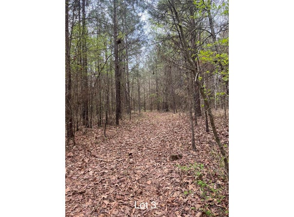 Crouch Road lot: 3, Benton, LA 71006