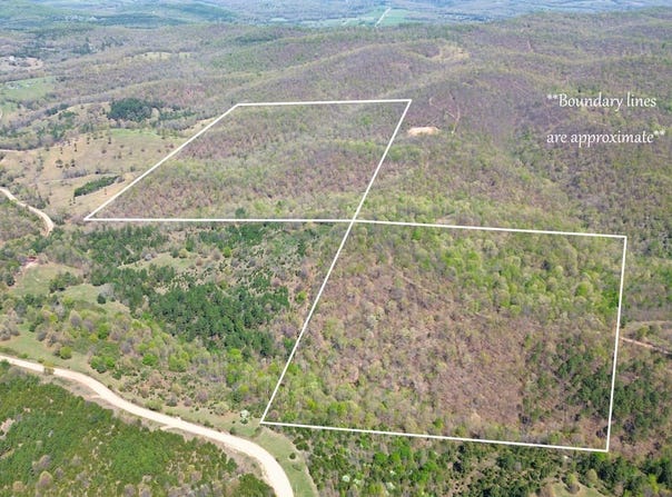 Firebreak Trail, Rea Valley, AR 72634