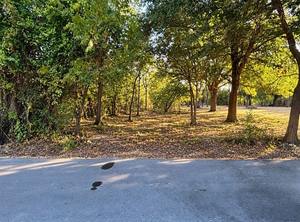 Dixon Street, Terrell, TX 75160