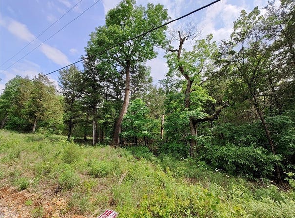 12 Sunrise Avenue lot: 27, Holiday Island, AR 72631