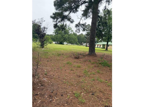Cutter Drive, Frankston, TX 75763