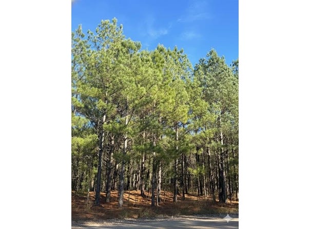 31 Dawnview Way Trail, Broken Bow, OK 74728