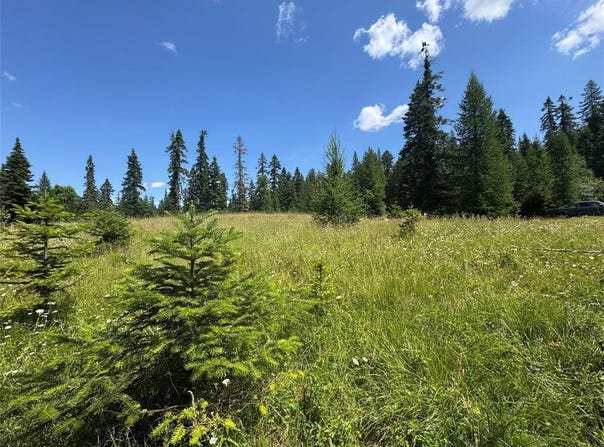 13643 Sundance Trail, Bigfork, MT 59911