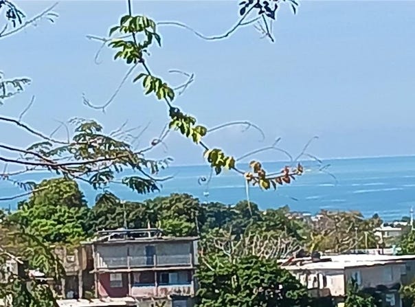 CARR 414 KM 1.3 INT, RINCON, 00677