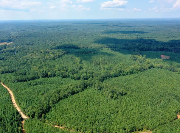 Tower Road, Franklin, GA 30240