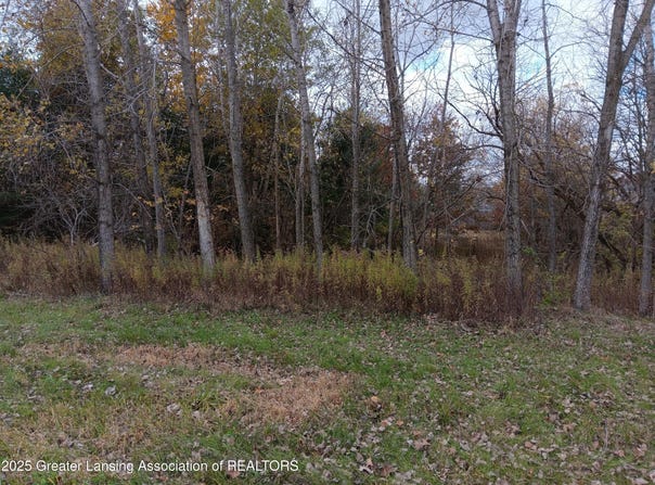 603 Country Drive, Perry, MI 48872