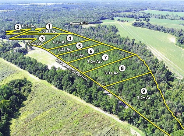 Canoochee Garfield Road, Canoochee, GA 30471