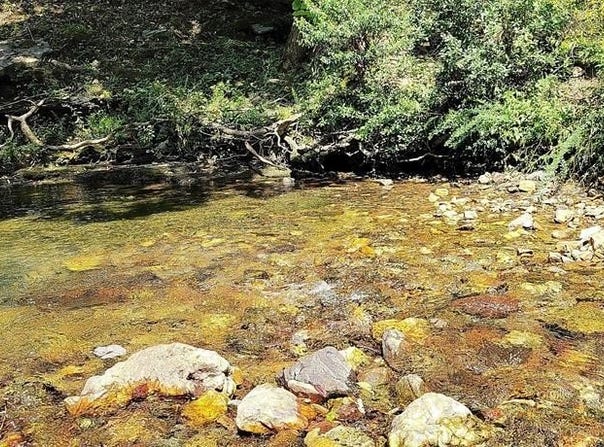 74 Creek Side Trail, Broken Bow, OK 74728