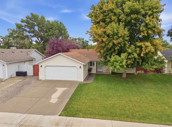 1131 Walnut Street, Fruita, CO 81521