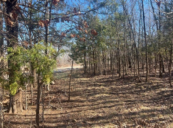 NC 6277 lot: 0, Jasper, AR 72641