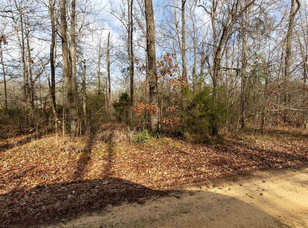 RIVER OAKS LANDING CIRCLE lot: 35, ORRVILLE, AL 36767