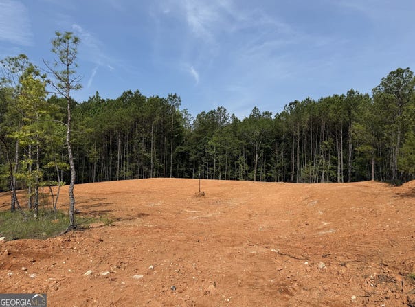 High Pointe lot: 7, Lagrange, GA 30241