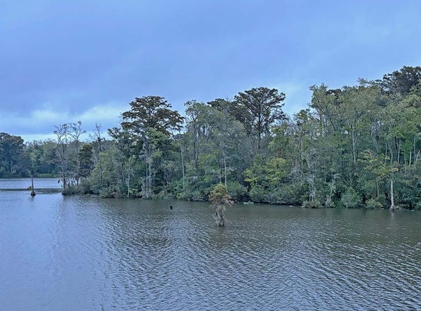 Hwy 45N, Plymouth, NC 29762