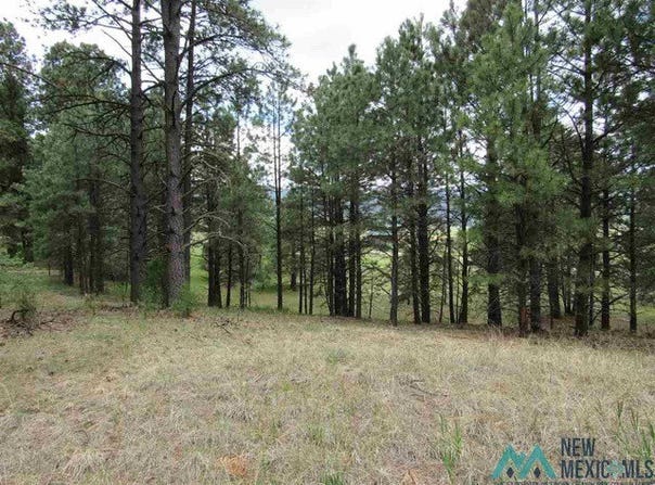 1 CHAPEL RD & CR A34, Rociada, NM 87742