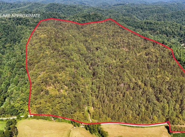 Hogskin Road, Manchester, KY 40962