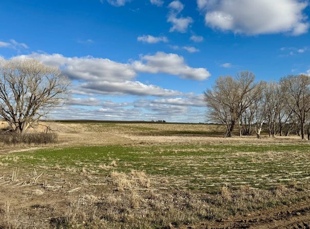 Z RD, Nekoma, KS 67559