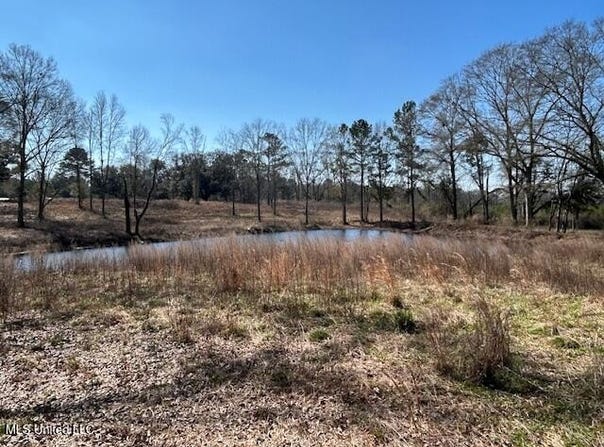 Sawmill Road, Sandy Hook, MS 39478
