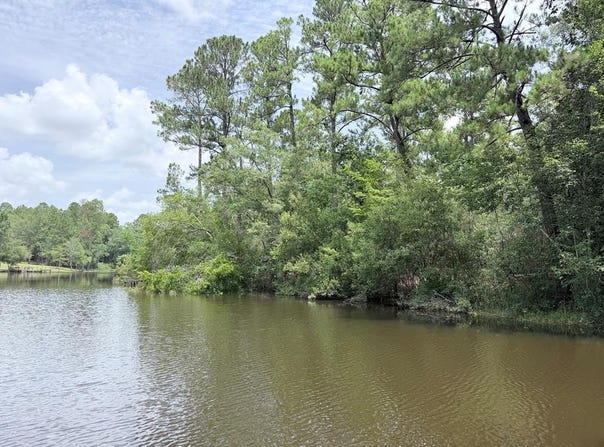 NHN Flurry Dr., Perkinston, MS 39573