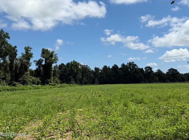 6514 Princess Ann Road, Evergreen, NC 28438