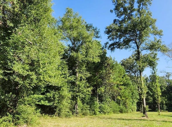 Reames Rd, Zachary, LA 70791