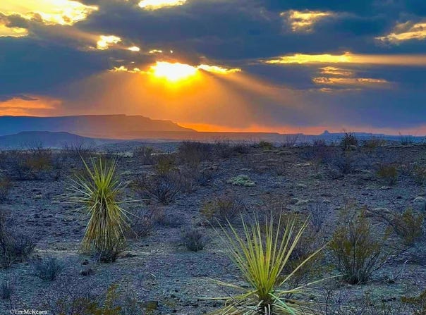 3151 E Este Road, Terlingua, TX 79852