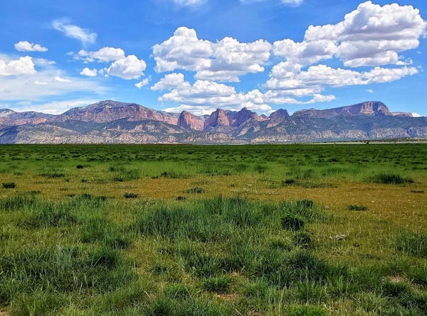 110 N 1600 E, New Harmony, UT 84757