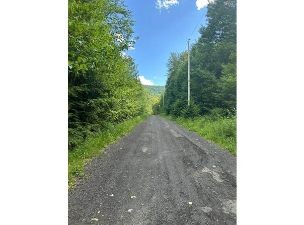 36 Mount Eden Estates, Lexington, NY 12468