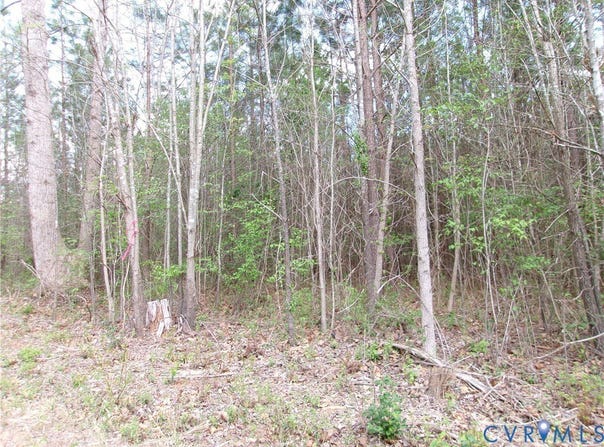 69-(6)-4 Snap Lodge Rd, Dewitt, VA 23840