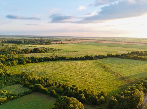 Trimble Ln, Gillett, AR 72055