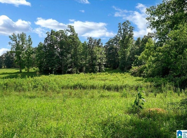 COUNTY ROAD 783, CULLMAN, AL 35055