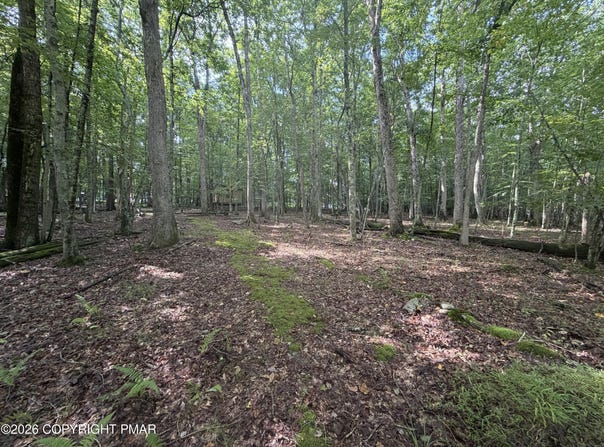Birch Dr 608, Cresco, PA 18326