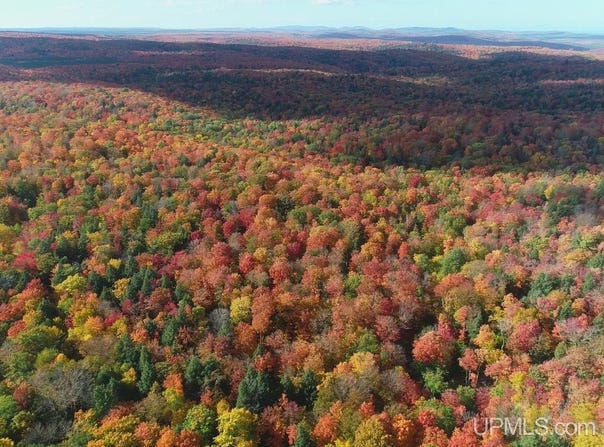 80 acres Co Rd 510, Ishpeming, MI 49849