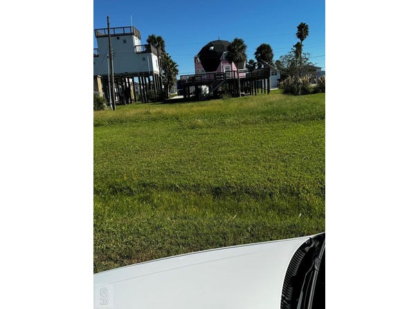 Oleander, Galveston, TX 77554