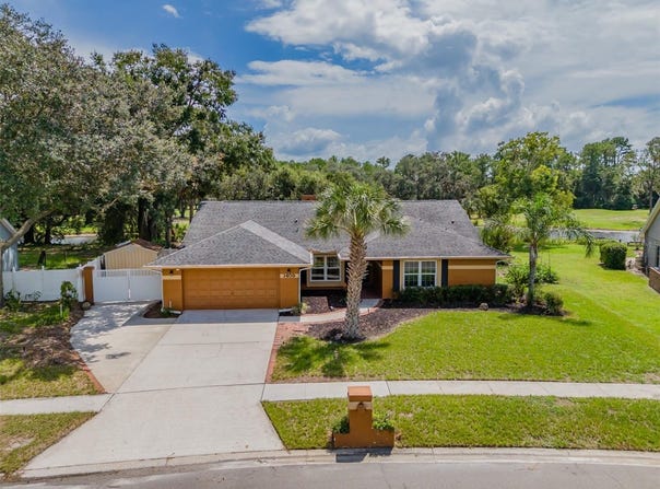 1409 HOLLEMAN, VALRICO, FL 33596