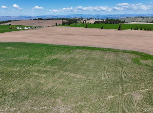 Fowler Rd, Winchester, ID 83555