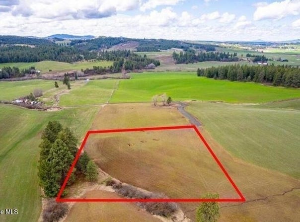 NKA Clifford Rd, Princeton, ID 83857