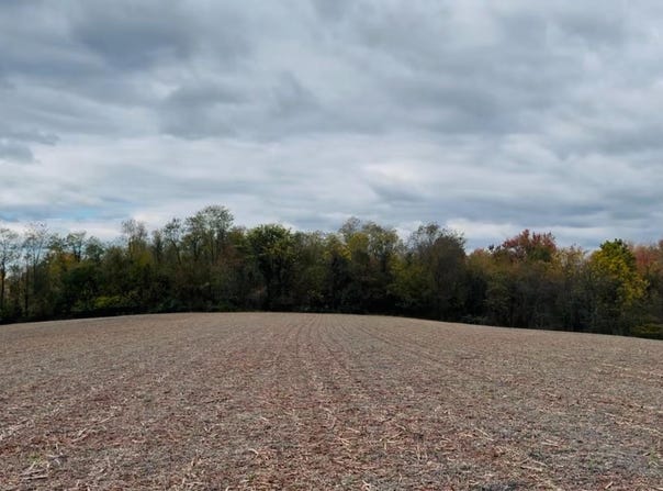 STAUFFERS CHURCH Road lot: 6, PALMYRA, PA 17078