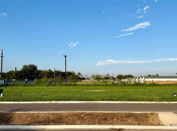 Dominion Drive, Weslaco, TX 78596