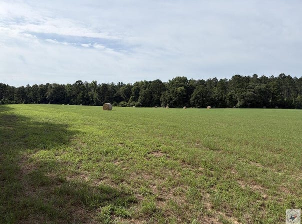 CR 4565, Bivins, TX 75555