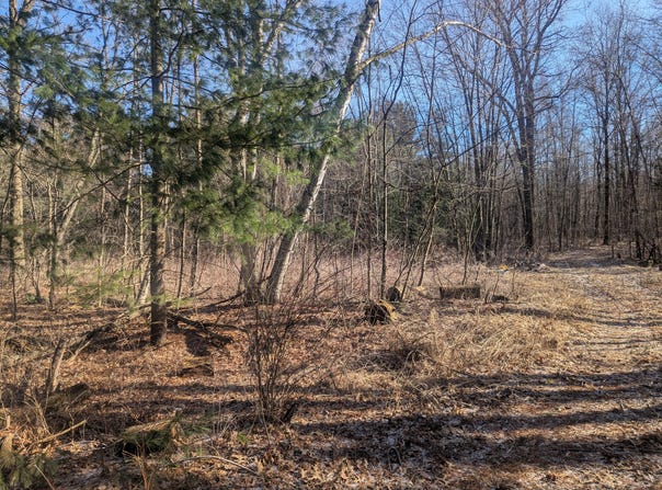 East Road, Montrose, MI 48457