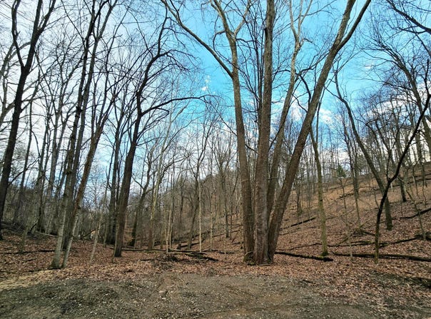 1767 Mohican Court, Hide A Way Hills, OH 43107