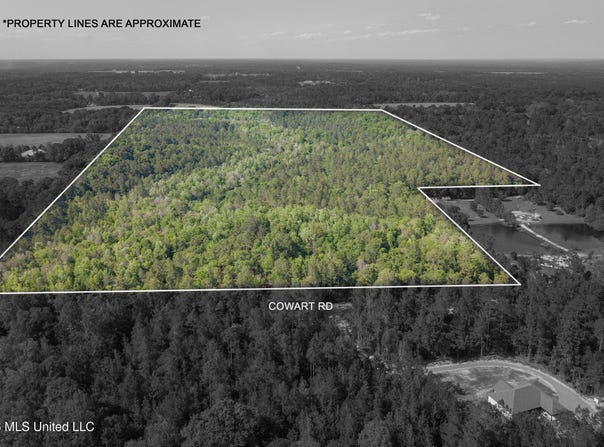 Cowart Road, Lucedale, MS 39452