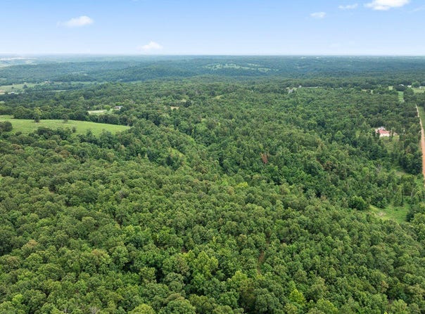 Tract 4 Styles Road, Noel, MO 64854
