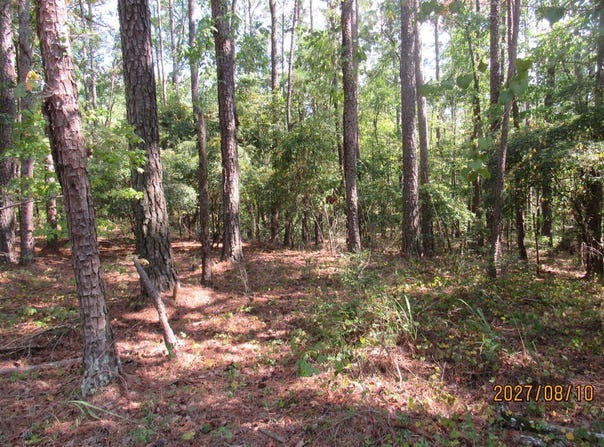704 S Chickasaw Trail, Sparta, GA 31087