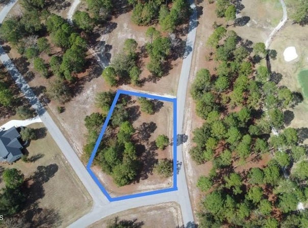 153 Sapelo Park Drive NE, Shellman Bluff, GA 31331