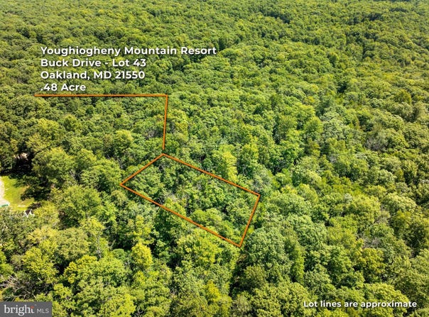 GREY SQUIRREL Road, OAKLAND, MD 21550