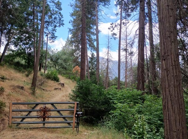 Mariposa Drive, Pierpoint Springs, CA 93265