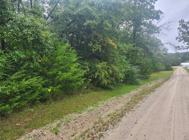 Coral Avenue, Princeton, MO 64683