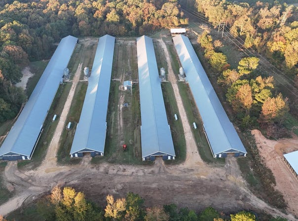 1034 MCCRARY ROAD, Downsville, LA 71234